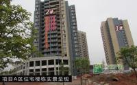 南部兴城12月施工进度 A区中庭绿化进行中