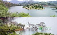 屏山将建“金沙海省级湿地公园”