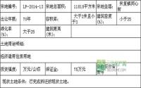 12月30日 高县公开公告出让3宗土地