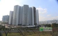 丽雅龙城12月施工进度 1-3#楼外装即将完工