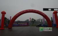 一手照片报道临港新天地项目品鉴会现场