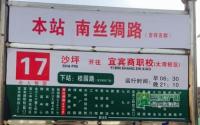1月探访鲁能·山水原著 要的不止是生态