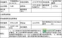 2月10日宜宾市公开拍卖天柏组团1宗地