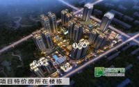 4880元/㎡起临港中央特价房火爆来袭