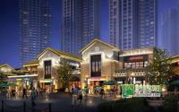 总价30万起龙湾一号少量临街商铺在售