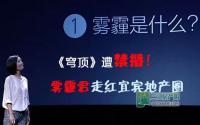 《穹顶》遭禁播！雾霾君走红宜宾地产圈