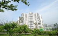 丽雅龙城5月施工进度幸福广场绿化进行中