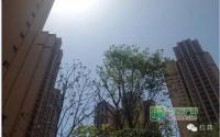 6月下旬拉菲·好望山幸福交房