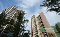 春天里7月工程进度二期基本修至地上一层