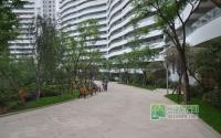 丽雅龙城6月施工进度2号中庭景观打造中