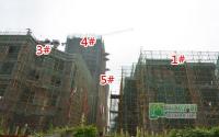 地标国际6月施工进度2、4、5#楼提速明显