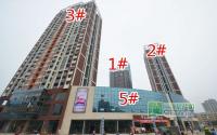 钻石城6月施工进度外装与外围装修齐飞