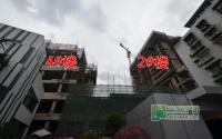 中汇城5月施工进度楼栋整体初见雏形