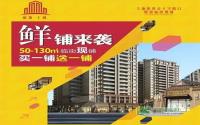 VIP会员全城招募丽雅上城小鲜铺清新来袭