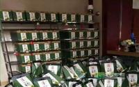 塞纳国际周末“粽”动员这个端午要嗨翻！