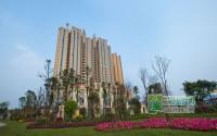 半岛大院一期交房倒计时实景抢先看