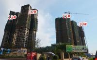 让你久等了！9月塞纳国际11#楼开盘面市