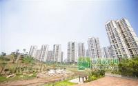 宜宾南岸栖凤公园景观建设基本完成