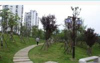 宜宾耍哥些听到！南岸红山公园可以去耍了