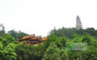 宜宾：彩灯唱响“长江之歌”呼应三江汇流