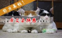 前方高能！一大波房交会特惠正在靠近！