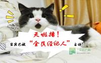 天啦撸！宜宾已进入“全民经纪人”时代？