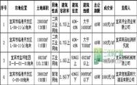 定名“恒旭国际大酒店”临港出让4宗地