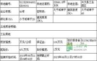 兴文县公开挂牌出让9宗工业用地
