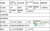 6月18日江安县公开拍卖1宗商业用地