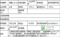 9月9日宜宾临港公开拍卖出让1宗商业用地