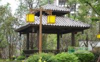 额外再惠5000元紫金城教师节限时特惠