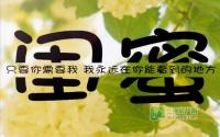 致闺蜜和你一起慢慢到老的楼盘该如何选？