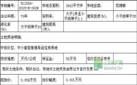 10月14日长宁县拍卖出让5宗国有建设用地