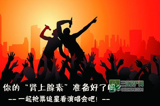一起抢票追星看演唱会吧！
