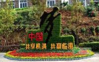 预计下旬开展 龙头山菊花展将首次免费开放
