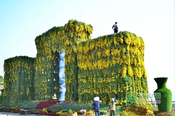 2015龙头山菊花展即将免费开放，抢先看实景！