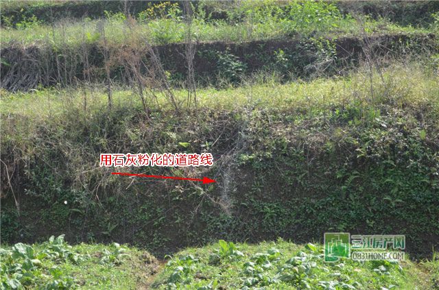 成都七中要来？绵阳东辰动工？宜宾教育要变天？！