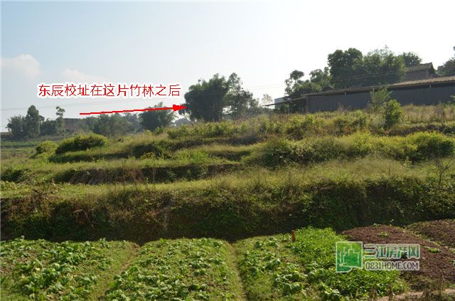 成都七中要来？绵阳东辰动工？宜宾教育要变天？！