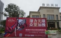 100余组客户到访！塞纳国际C户型应市加推