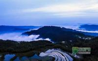 宜宾江安投资1.87亿元 打造连天山省级森林公园