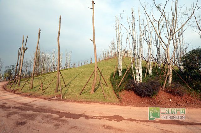 DSC_0109.jpg