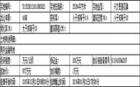 2016年1月11日起 兴文县挂牌出让1宗商务金融用地