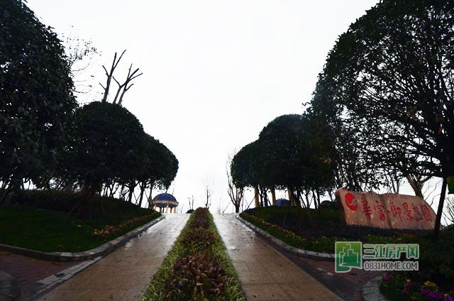 DSC_0030.jpg