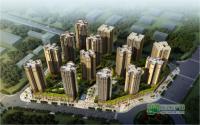 多条公交线路途经拉菲 业主出行更便捷
