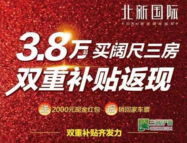 北新国际3.jpg