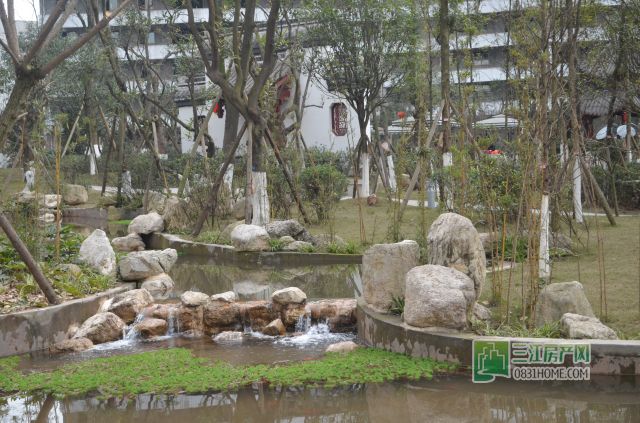 DSC_0025.jpg