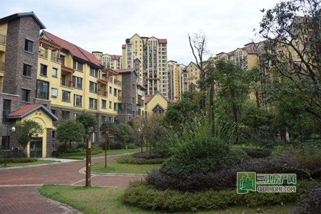 01165227d83224aa633369.jpg 8.jpg