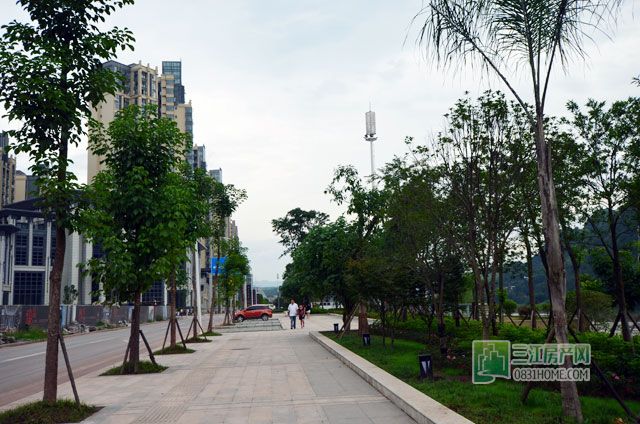 滨江路景观.jpg
