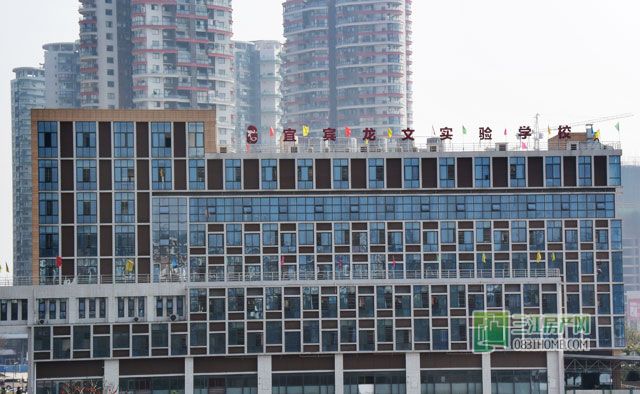 龙文实验校.jpg
