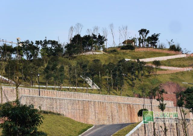 宋家坡公园1.jpg